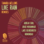 Tamara Wellons - Like Rain (Lars Behrenroth Deeper Shades Dub)