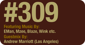 Deeper Shades of House show 309