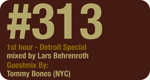 Deeper Shades of House show 313