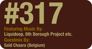 Deeper Shades of House show 317