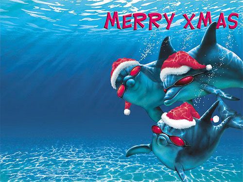 Merry Christmas Merry Christmas