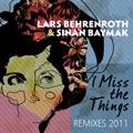 I Miss The Things Remixes 2011