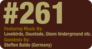 Deeper Shades of House #261 Deeper Shades of House #261