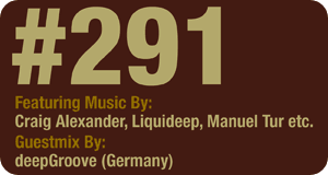 Deeper Shades of House #291 Deeper Shades of House #291