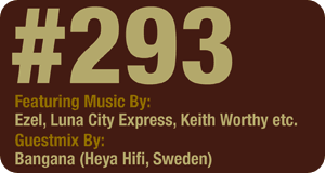 Deeper Shades of House #293 Deeper Shades of House #293